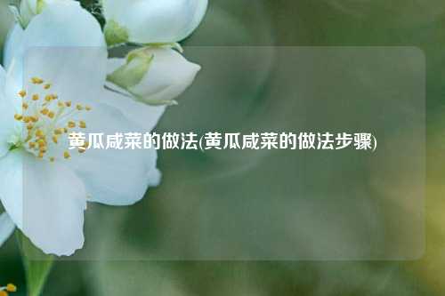 黄瓜咸菜的做法(黄瓜咸菜的做法步骤)