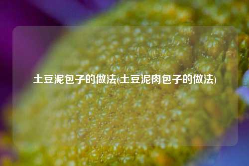 土豆泥包子的做法(土豆泥肉包子的做法)