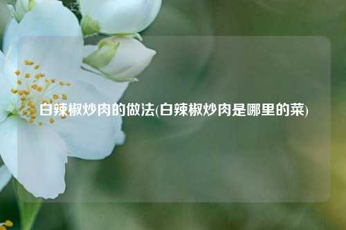白辣椒炒肉的做法(白辣椒炒肉是哪里的菜)