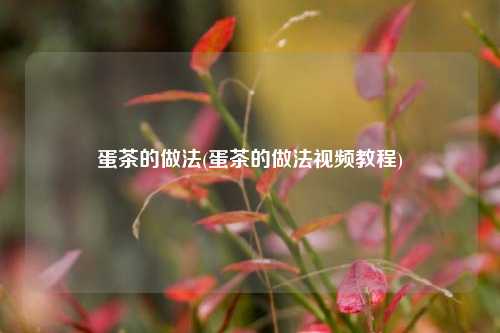蛋茶的做法(蛋茶的做法视频教程)