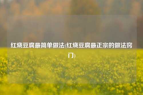 红烧豆腐最简单做法(红烧豆腐最正宗的做法窍门)