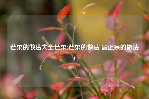 芒果的做法大全芒果(芒果的做法 最正宗的做法)
