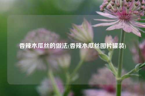 香辣木瓜丝的做法(香辣木瓜丝图片罐装)