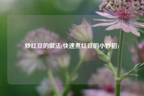 炒红豆的做法(快速煮红豆的小妙招)
