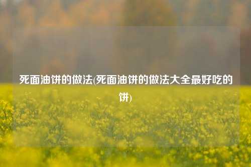 死面油饼的做法(死面油饼的做法大全最好吃的饼)