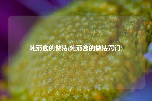 炖茄盒的做法(炖茄盒的做法窍门)